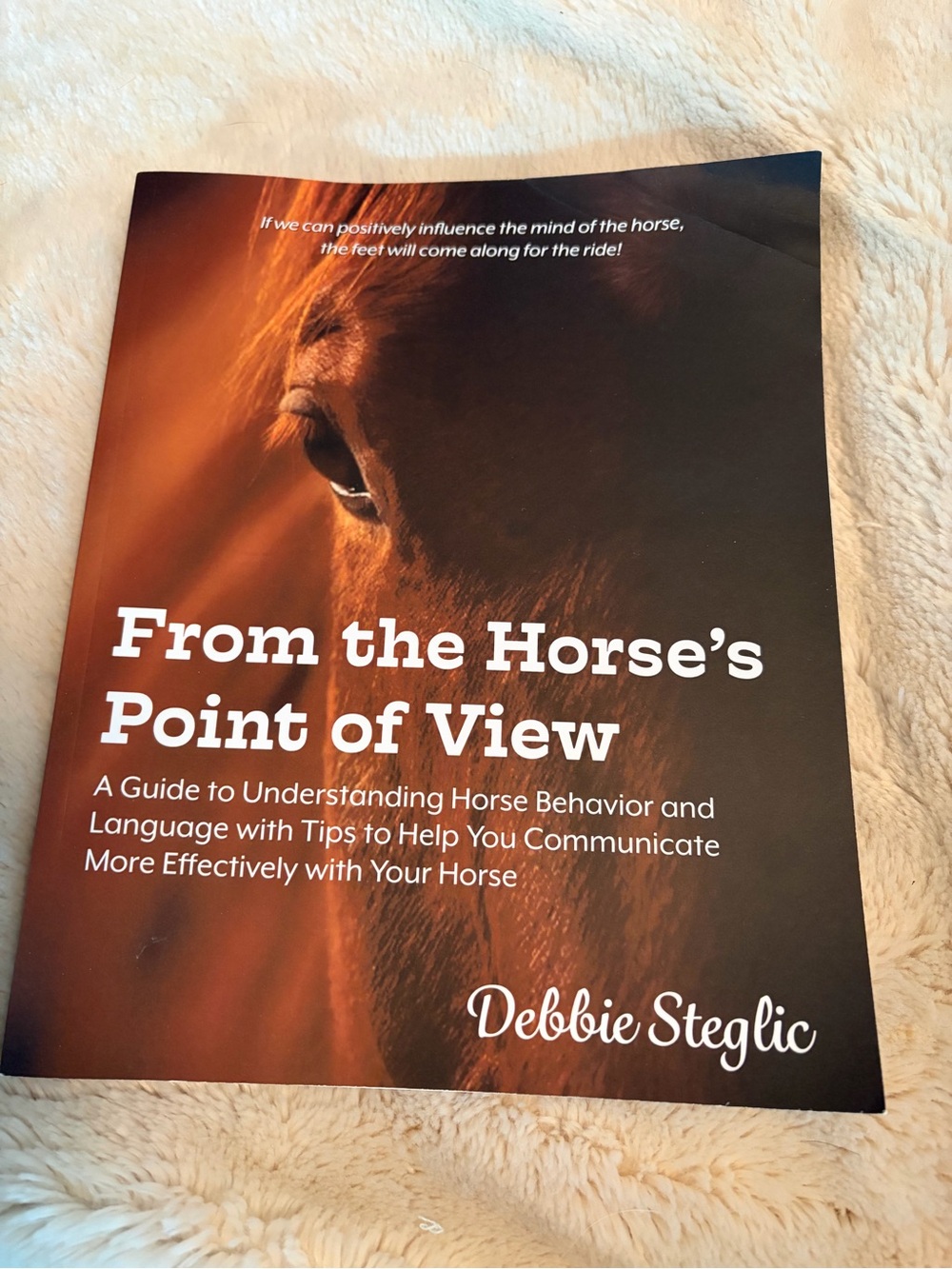 From The Horses Point of View
Debbie Steglic